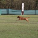 201116 1983