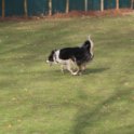 201116 2099