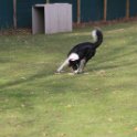 201116 2100