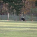 201116 2181