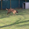 201116 2212