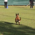 201116 2215