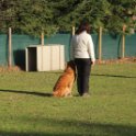 201116 0180