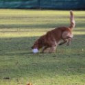 201116 0227