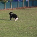 201116 0308