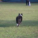201116 0313