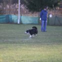 201116 0324