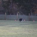 201116 0338