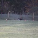 201116 0340