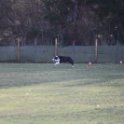 201116 0341