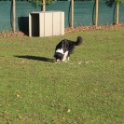 201116 0381