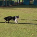201116 0383