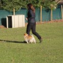 201116 0499