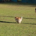 201116 0504