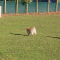 201116 0505