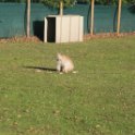 201116 0506