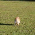 201116 0517