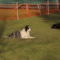 201116 2329