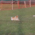 201116 2371