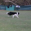 201116 2377