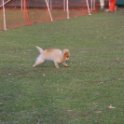 201116 2382