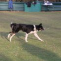 201116 2409