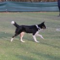 201116 2410