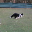 201116 2424