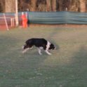 201116 2458