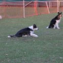 201116 2467