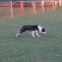 201116 2474