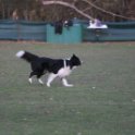 201116 2485