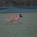 201116 2503