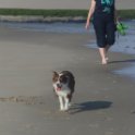 200617 0014