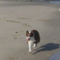 200617 0017