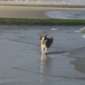 200617 0019