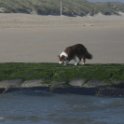 200617 0024