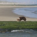 200617 0028