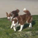 200617 0031
