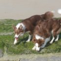 200617 0032