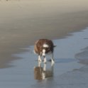 200617 0051