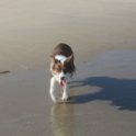 200617 0052