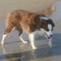 200617 0067