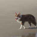 200617 0068