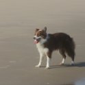 200617 0069