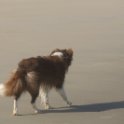 200617 0070