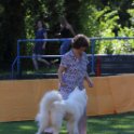 290619 0157