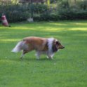200920 0307