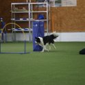 161122 0271