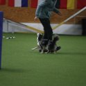 161122 0337